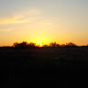 Meet your Posher, Caly